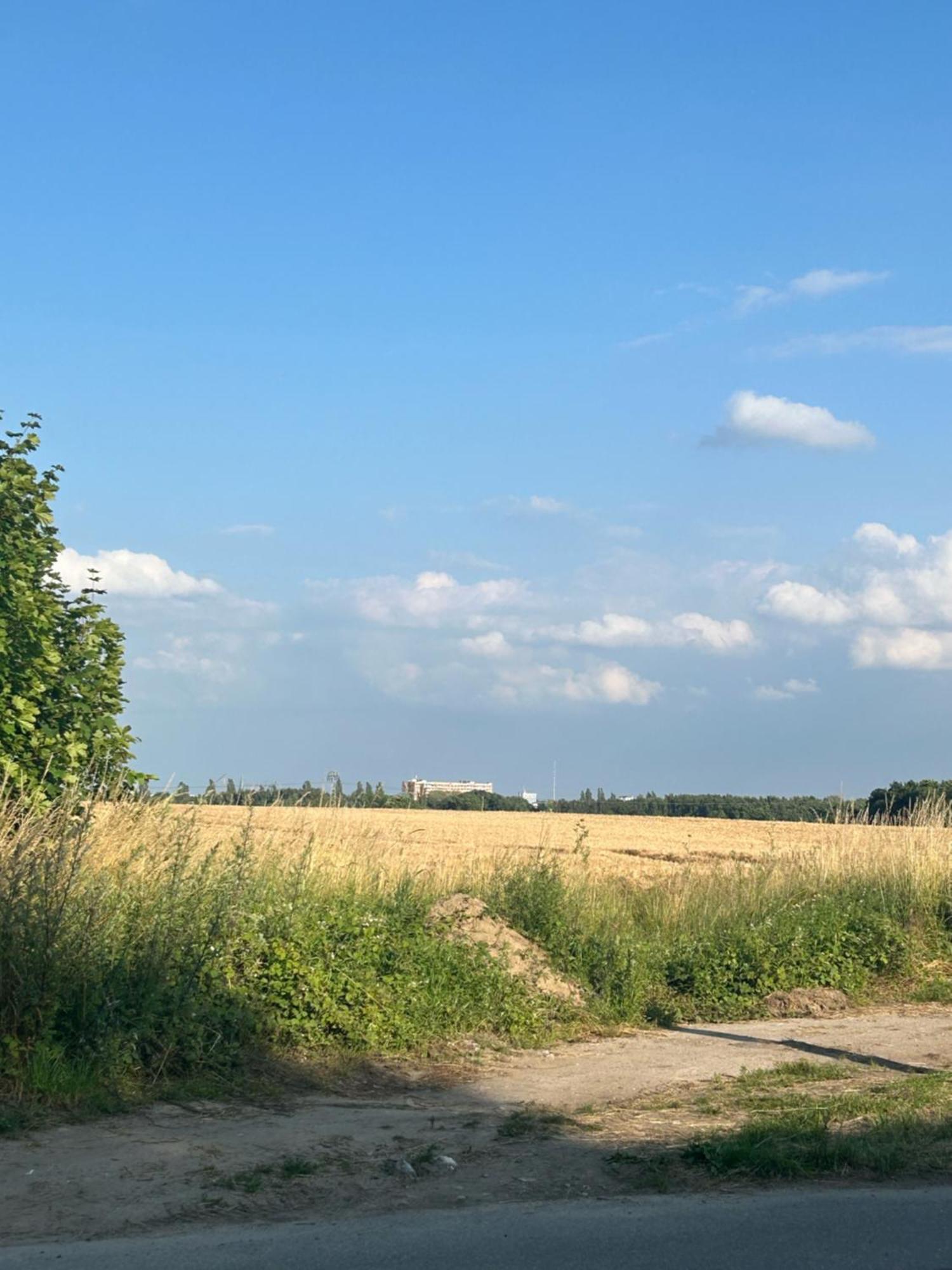 Ferienwohnungen Mit Feldblick Шверин Экстерьер фото
